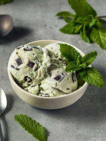 Fresh mint ice cream bowl with chocolate chips and lime juice